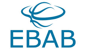 European Basket Academy